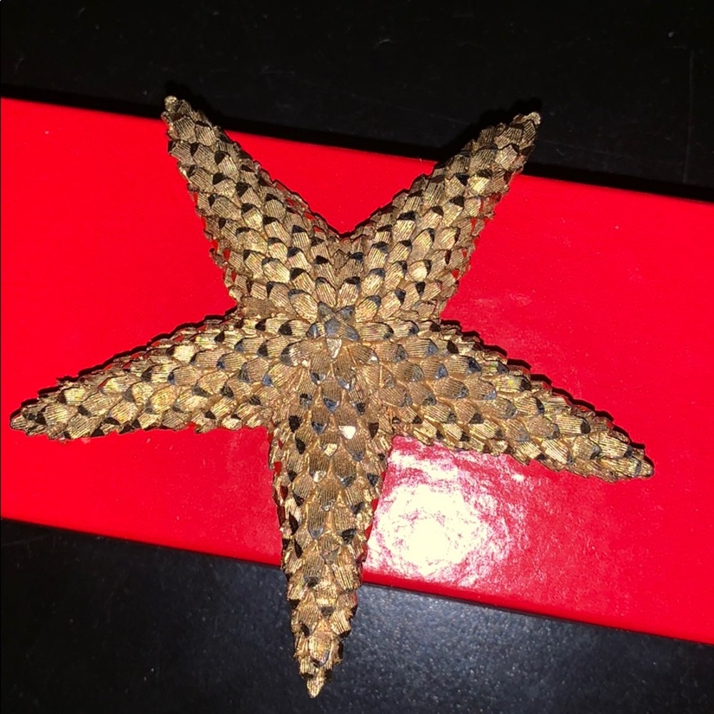 Antique Very old Star Pin Brooch Shimmery cuts